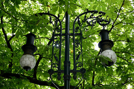 Ornate street lamp silhouetted against trees in a park, Prague, Czech Republic
