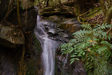 Mistral waterfall cascades over mossy rocks © Sando