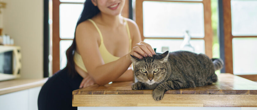 Smiling young Asian woman in casual wear gently strokes her tabby cat resting on a wooden countertop, ideal for pet care and lifestyle content.