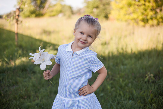 cheerful 4-year-old girl in a blue dress with a Clematis flowers walks in a village meadow