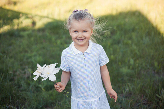 cheerful 4-year-old girl in a blue dress with a Clematis flowers walks in a village meadow