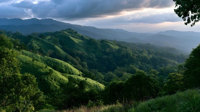 Rolling green hills under dramatic clouds with layered mountain ranges and dense forest canopy bathed in soft golden light
