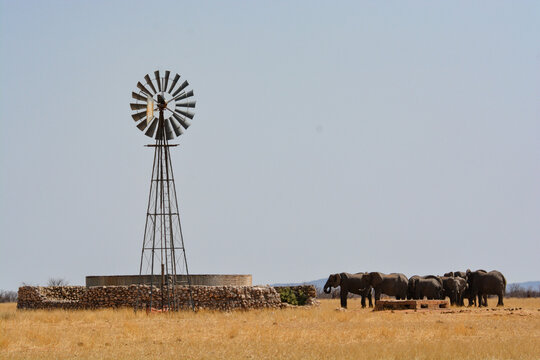 Herd of elephants near a windmill