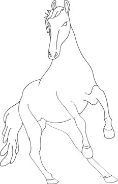 horse vector lineart