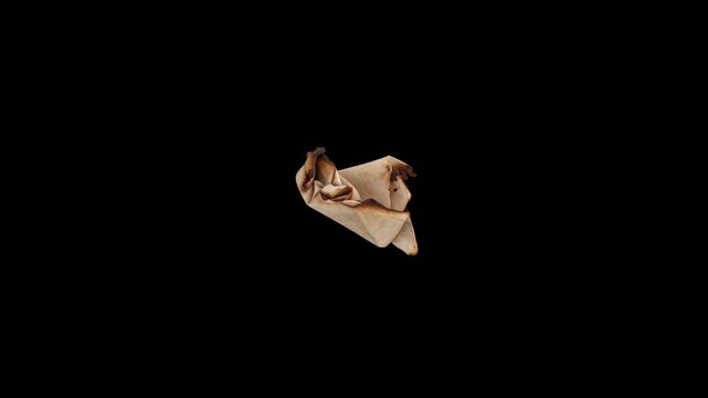 Burnt Paper Element 02