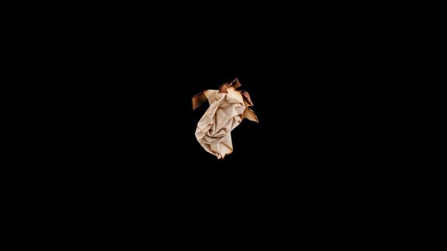 Burnt Paper Element 03