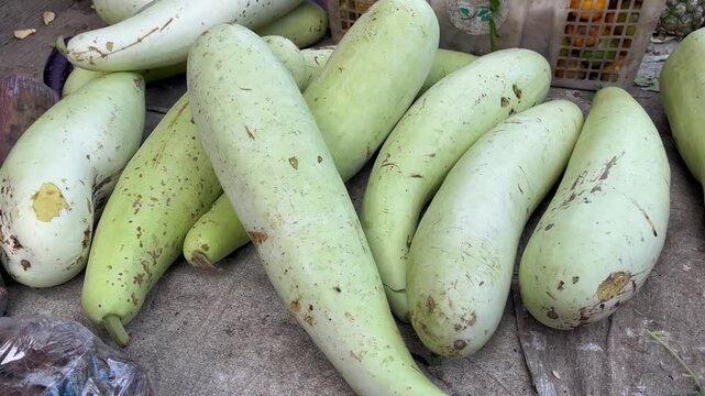 Fresh raw ash gourd winter melon stacked at traditional Asian market