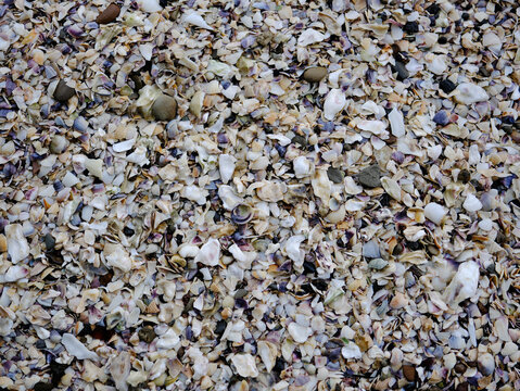 Close up of sand texture mixed with crushed seashells on the beach shore