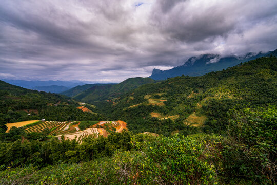 Aerial view of Nham La View featuring lush green terraced rice fields nestled among rolling mountains under a dramatic cloudy sky in Mau Due, Tuyen Quang, Vietnam.