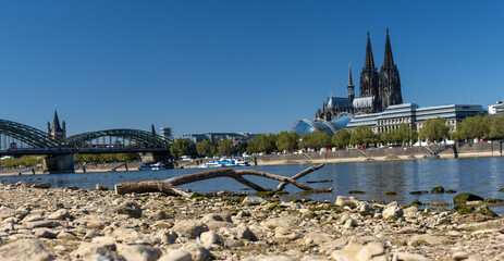 Photograph of low water levels on the Rhine in Cologne. © Rolf
