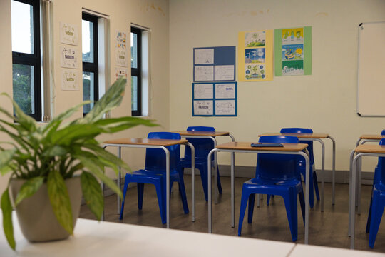Blue plastic chairs sitting with wood-topped desks in classroom, posters on wall, plant