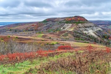 Naklejka premium Autumn landscape nature autumn wilderness.