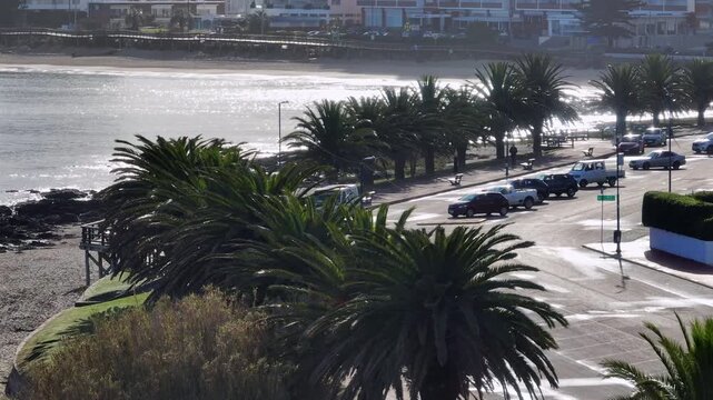 Telephoto view of Playa Mansa palm-lined promenade and beachfront in Punta del Este, Uruguay.