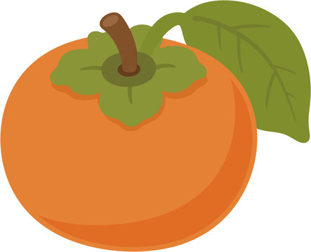 Cute persimmon illustration 