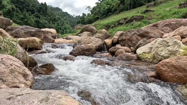 Fresh natural mountain stream flowing over rocks in a lush green forest. Scenic water stream footage in tropical nature.