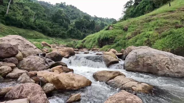 Fresh natural mountain stream flowing over rocks in a lush green forest. Scenic water stream footage in tropical nature.