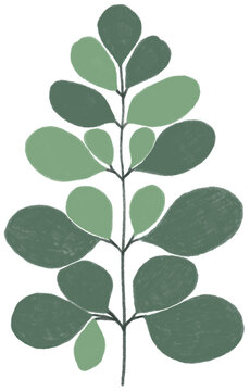 leaf