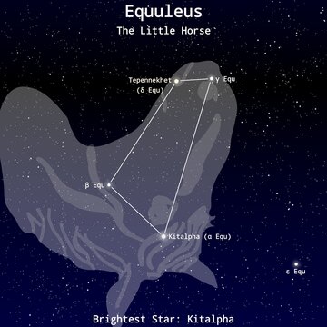 Equuleus Constellation Map with Named Stars &ndash; Constellation Map Illustration