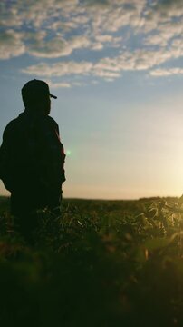 Farmer admiring farmland in summer, vertical shot in beautiful in countryside, innovations in agronomy. Ecosystem health and sustainable agriculture, modern agribusiness technologies, innovation