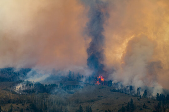 Thick smoke and flames from a raging wildfire on a hillside