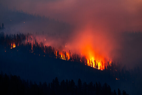A large wildfire burns on a mountainside at night