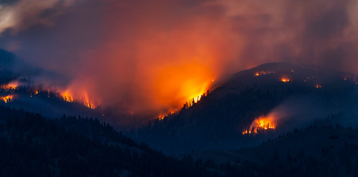 Massive forest fire raging on mountain at night