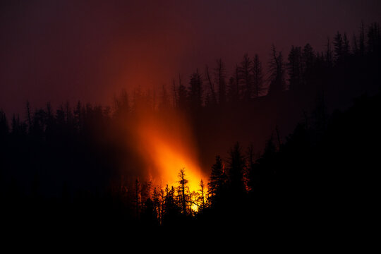Wildfire light beams through smoky forest night