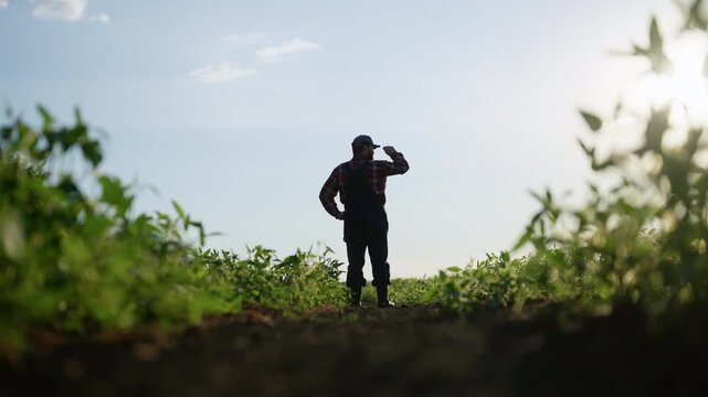 Beautiful day in countryside, professional farmer admiring farmland, back view. Professional agronomist or farmworker admiring rural landscape, modern agricultural technology, traditional agribusiness
