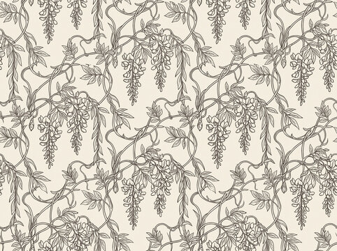 Floral pattern seamless background in wisteria vine botanical of wallpaper vintage texture illustration vector leaf branch nature garden design art ornament fabric