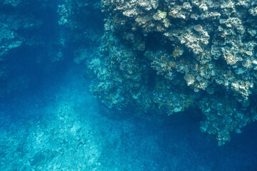 Clear Blue Water and Coral Reef in a Tropical Shallow Sea © Satoshi