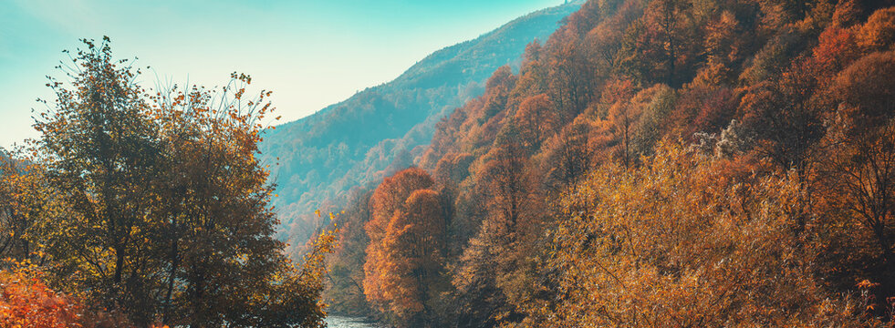 Mountain river on an autumn sunny day. Nature landscape. Carpathian Mountains, Europe