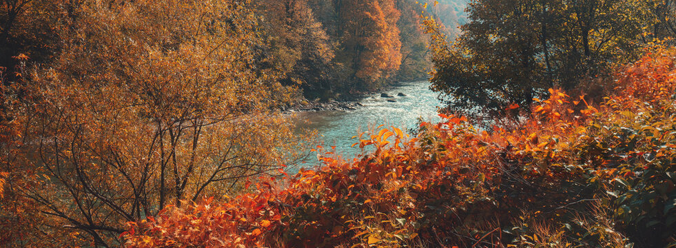 Mountain river on an autumn sunny day. Nature landscape. Carpathian Mountains, Europe