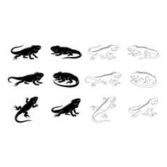 Fototapeta premium Set of Detailed Iguana Silhouettes and Minimalist Outline Vector Illustrations for Reptile and Wildlife Graphic Design Projects