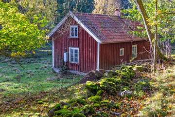 Idyllic red wooden cottage in a forest glade © Lars Johansson