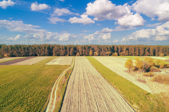 View from above of countryside. View of arable fields and pine forest in spring
