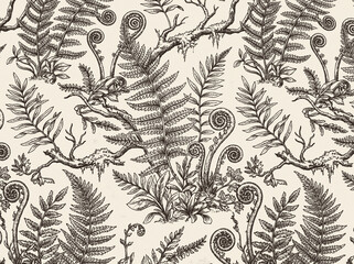 Pattern seamless fern botanical in foliage leaves vintage of illustration sketch drawing background texture nature black cream beige tropical forest plants frond © AfsanaBinteSalam