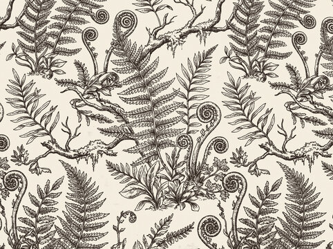 Pattern seamless fern botanical in foliage leaves vintage of illustration sketch drawing background texture nature black cream beige tropical forest plants frond