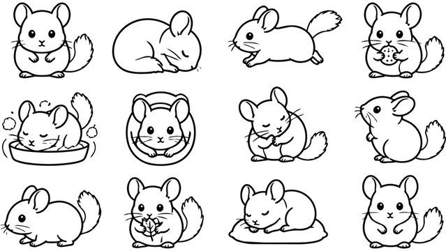 A collection of cute chinchilla characters depicted in various poses and activities in line art.