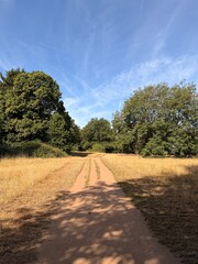 Fototapeta premium Rural dirt path through dry summer grass and green trees in the English countryside