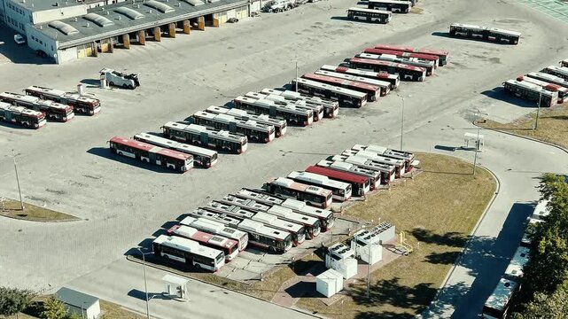 Municipal transportation fleet parked in organized rows