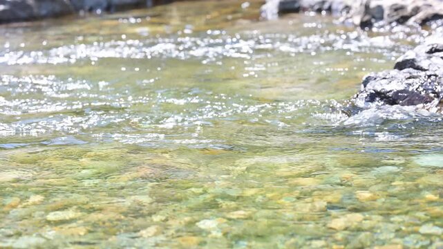 [音入り]ヒグラシの鳴き声が響く夏の清流、透明な水が流れる日本の自然風景の動画