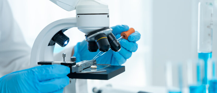 Scientist check chemical whole grains residues in laboratory. Control experts inspect the concentration of chemical residues. hazards, standard, prohibited substances, contaminate, Microbiologist