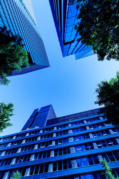 Worm's eye view of corporate office buildings and urban greenery under blue sky, symbolizing ESG and sustainability.