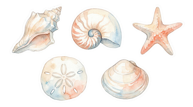 Watercolor seashell collection with starfish and nautilus. Hand painted beach shells set, coastal summer marine life illustrations on white.
