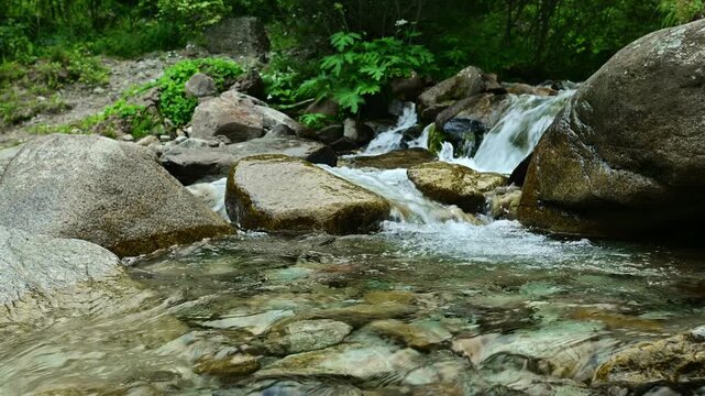 Flowing stream cascades over rocks in lush green forest setting