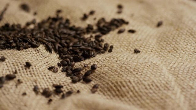 Panning shot of dark roasted malt on burlap cloth