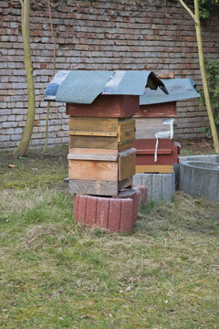 Traditional wooden beehives in the garden
