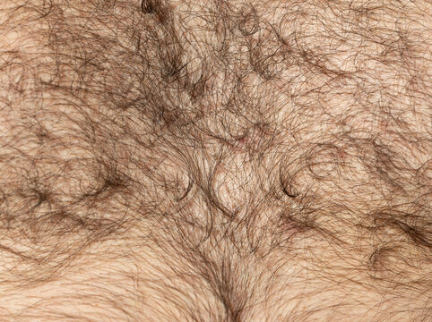 Close-up of dense, dark brown human hair
