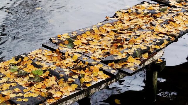 Autumn leaves cover rustic wooden pier extending over dark water with gentle rain falling and creating ripples on surface of water