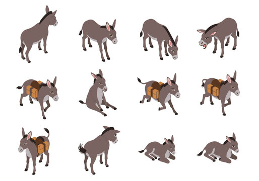 Isometric donkey animal cyprus icon collection